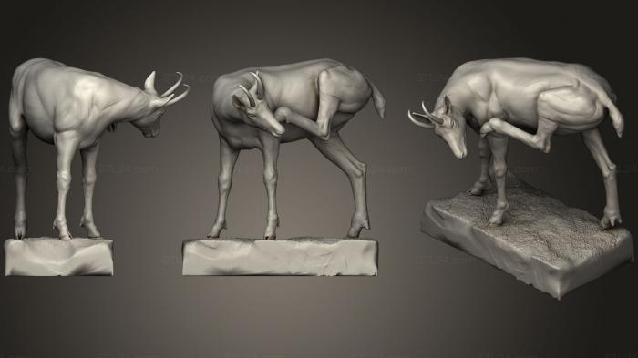 Animal figurines (Chamois 01, STKJ_0816) 3D models for cnc